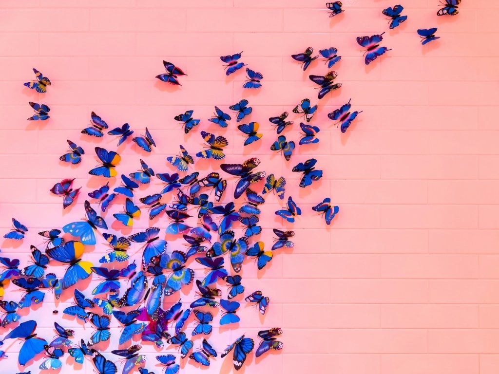 Butterflies, by __ drz __